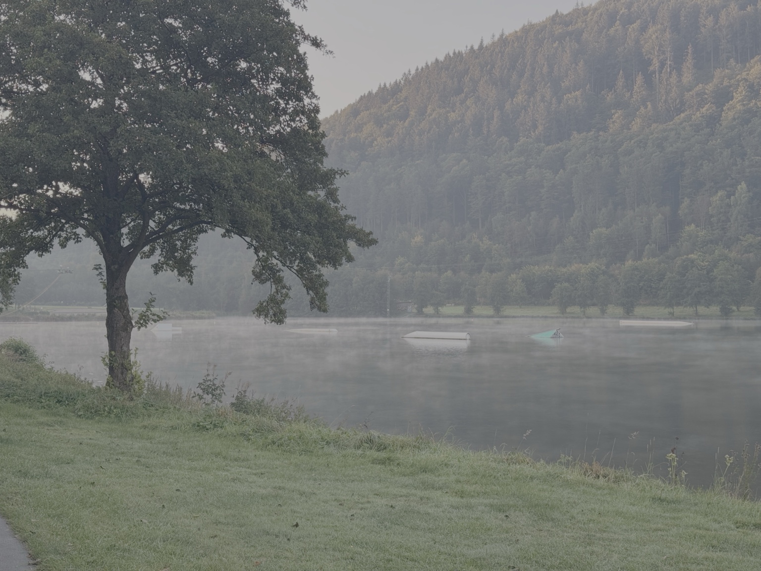 Morgenstimmung am See