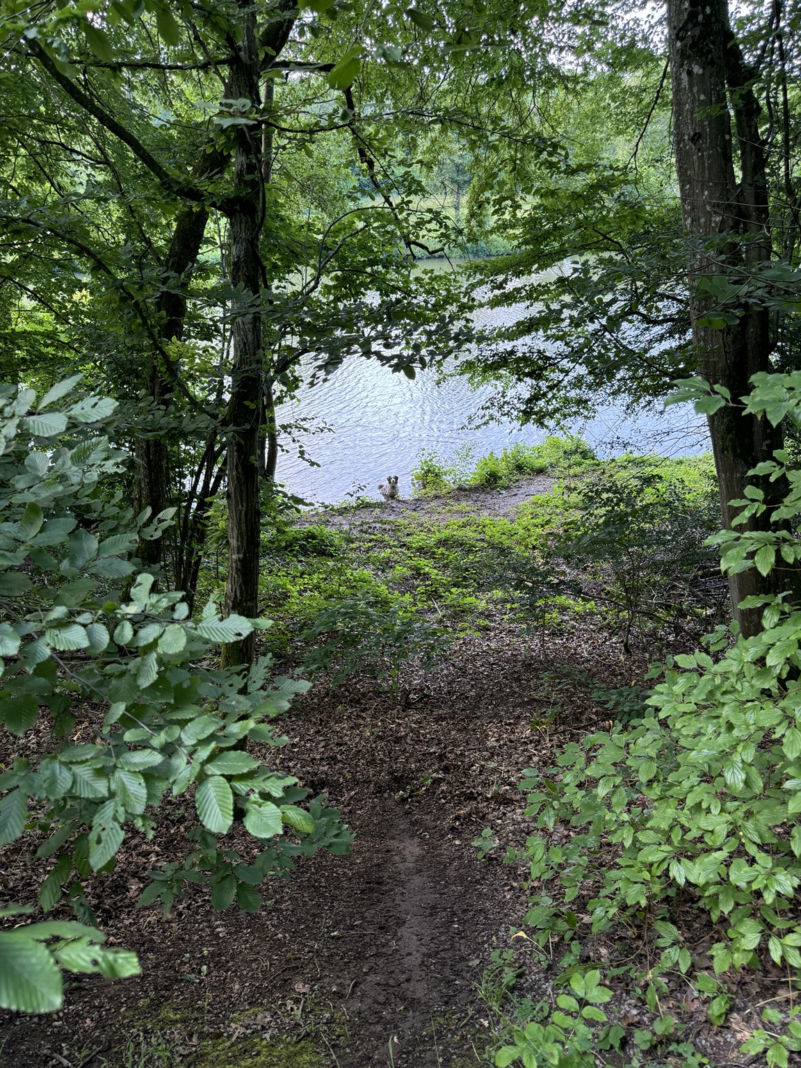 Naturwege am Wasser